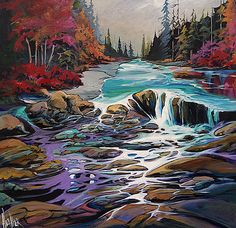 Read more about the article sooke surreal