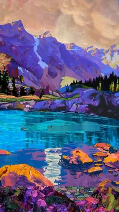 Read more about the article 