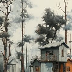 Read more about the article 